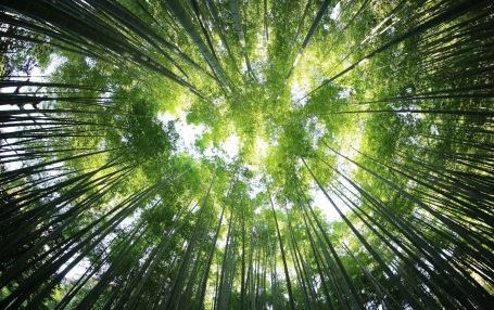 FAQs zur Umweltfreundlichkeit von Photovoltaik - Einstiegsbild