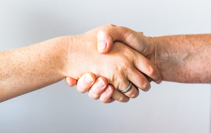 Zwei Hände schütteln sich in einer formellen Begrüßung.